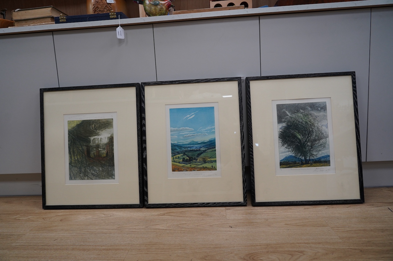 Piers Browne (b.1949), three etchings with aquatint, 'Green Valley' and 'By falling stream and the standing will', two limited edition, one artist proof, 34 x 24cm. Condition - fair to good
